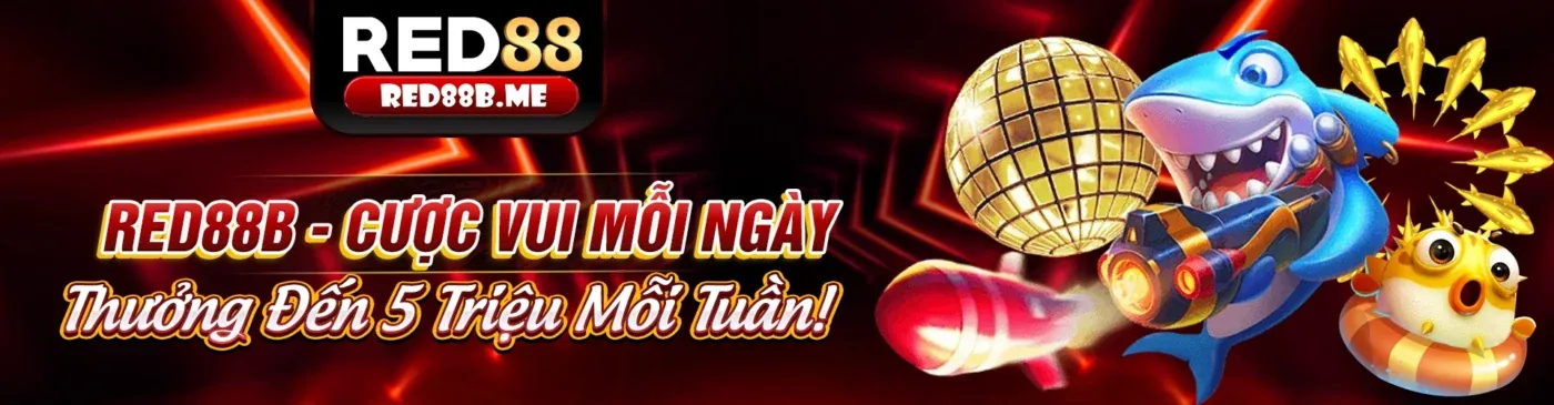 Giới thiệu ứng dụng 777king99