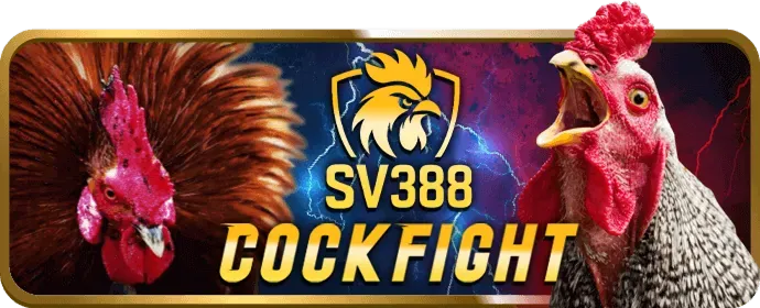 Đá gà trực tuyến 777king99